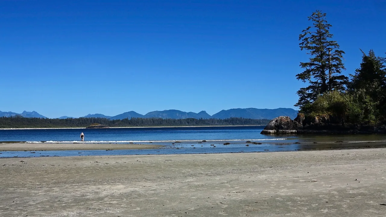 A visitor walking on Chesterman Beach in August