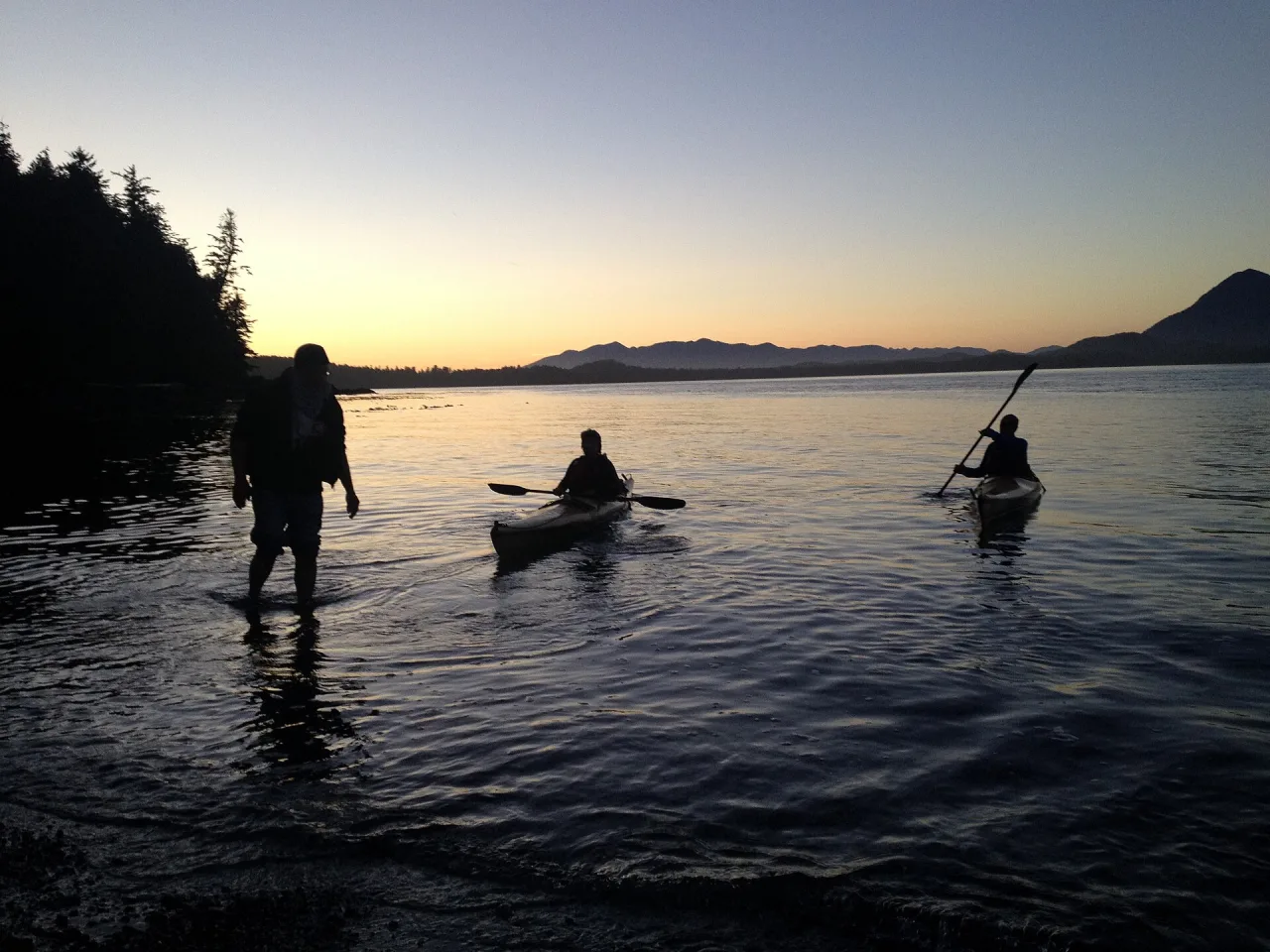 Sea kayakers paddling calm water in Clayoquot Sound at sunset